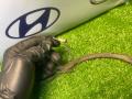 форсунка омывателя лобового стекла Ford Focus 1 поколение [рестайлинг] CAK 2004, 1.6 л., CCA, бензин, МКПП, седан, передний привод, 98AG14297AF - фото №6