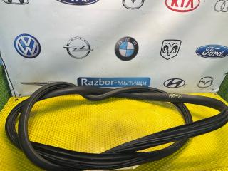 уплотнитель двери Hyundai Getz 1 поколение 2005, 1.3 л., G4EA, бензин, МКПП, красный, передний привод