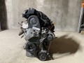 двигатель Volkswagen Golf 5 поколение 2008, 1.6 л., бензин, МКПП, хетчбэк 5 дв., BFS - фото №3