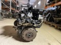 двигатель Volkswagen Golf 4 поколение 2002, 1.4 л., бензин, МКПП, хетчбэк 5 дв., BCA - фото №7