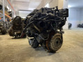 двигатель Ford Focus 2 поколение 2007, 1.6 л., G8DA, дизель, МКПП, хетчбэк 5 дв., G8DA, G8DB, G8DD, 10JB24 - фото №8