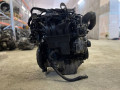 двигатель Opel Astra H 2007, 1.6 л., Z 16 XE1, бензин, МКПП, хетчбэк 5 дв., Z16XE1 - фото №8