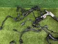 проводка двигателя BMW X7 G07 [рестайлинг] G07 2025, 3.0 л., B57 D30 B, дизель, АКПП, 475, внедорожник 5 дв., полный привод, правый руль, 7380487, 7380487 - фото №5