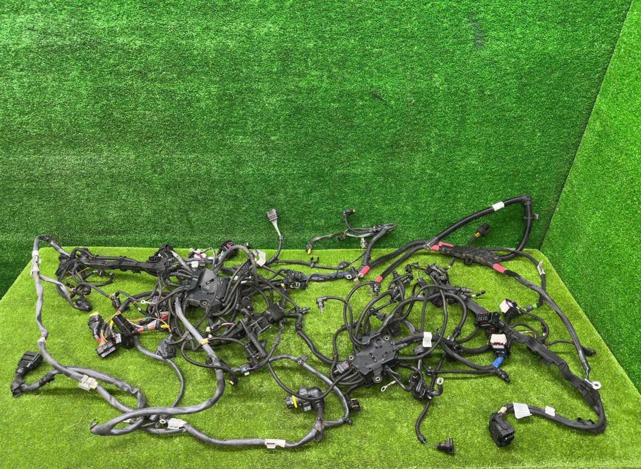 проводка двигателя BMW X7 G07 2021, 4.4 л., N63B44D, бензин, 416 carbon-schwarz, внедорожник 5 дв., полный привод, 9845169, 8486584, 9895770, 8638926, 8693191, 9845169, 8486584, 9895770, 8638926, 8693191 - фото №1