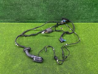 дверная проводка BMW X6 G06 2023, 3.0 л., B57 D30 B, дизель, АКПП, 475, внедорожник 5 дв., полный привод, 5A5B6A1, 5A5B6A1