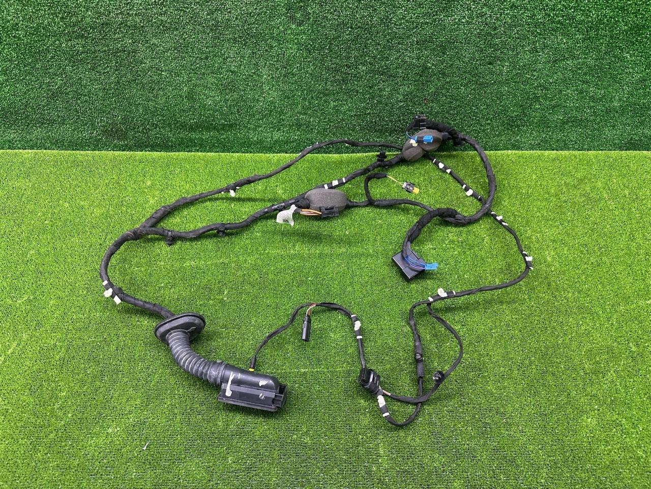 дверная проводка BMW X6 G06 2023, 3.0 л., B57 D30 B, дизель, АКПП, 475, внедорожник 5 дв., полный привод, 5A5B6A1, 5A5B6A1 - фото №1