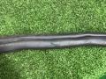 уплотнитель двери BMW 3 серия G20 2021, 3.0 л., B58B30, бензин, АКПП, oxidgrau ii metallic (c4a), седан, полный привод, правый руль, 7407373, 7407373 - фото №4