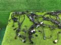 проводка двигателя BMW M3 G80/G81 G80 2023, 3.0 л., S58B30A, бензин, АКПП, c31, седан, полный привод, правый руль, 9502791, 9500570, 9502791, 9500570, 8098401, 9500573, 7330763, 8098401, 9500573, 7330763 - фото №21