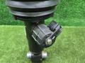 пневмостойка задняя BMW X6 G06 2023, 3.0 л., B57 D30 B, дизель, АКПП, 475, внедорожник 5 дв., полный привод, 6869038, 37106869038 - фото №7