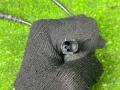 датчик ABS BMW X5 G05 [рестайлинг] G05 2023, 3.0 л., B58B30P, бензин, АКПП, a96, внедорожник 5 дв., полный привод, 6895656, 6895656 - фото №5