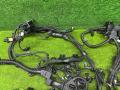 проводка двигателя BMW X5 G05 [рестайлинг] G05 2023, 3.0 л., B58B30P, бензин, АКПП, a96, внедорожник 5 дв., полный привод, 9844375, 5A59433, 5A58C90, 5A2A793, 5A2A789, 5A59433, 5A58C90, 5A2A793, 5A2A789, 9844375 - фото №3