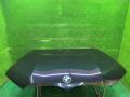 капот BMW X5 G05 [рестайлинг] G05 2023, 3.0 л., B57 D30 B, дизель, АКПП, carbonschwarz metallic (416), внедорожник 5 дв., полный привод, 7492375, 41007492375 - фото №31