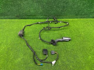 дверная проводка BMW X6 G06 2023, 3.0 л., B57 D30 B, дизель, АКПП, 475, внедорожник 5 дв., полный привод, 5A5B6E1, 5A5B6E1