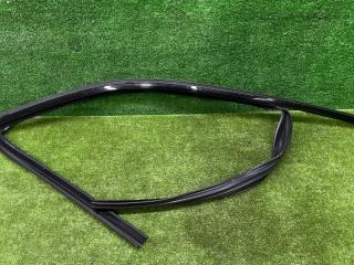 молдинг двери передней правой BMW X6 G06 2020, 3.0 л., B58B30, бензин, АКПП, полный привод, 7437772, 51337437772