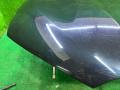 капот BMW X7 G07 2021, 4.4 л., N63B44D, бензин, 416 carbon-schwarz, внедорожник 5 дв., полный привод, 7933467, 41007933467 - фото №4