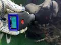 капот BMW X7 G07 2021, 4.4 л., N63B44D, бензин, 416 carbon-schwarz, внедорожник 5 дв., полный привод, 7933467, 41007933467 - фото №10