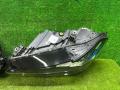 фара BMW X5 G05 [рестайлинг] G05 2023, 3.0 л., B57 D30 B, дизель, АКПП, mineralweiß metallic (a96), внедорожник 5 дв., полный привод, 5A8E105, 5A8E106, 5A8E105, 5A8E106 - фото №12