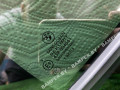 стекло кузовное боковое правое BMW X6 G06 2020, 51357446217, 51357446218, 51377446219 - фото №22