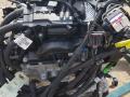 двигатель BMW X5 G05 [рестайлинг] G05 2023, 3.0 л., B57 D30 B, дизель, АКПП, mineralweiß metallic (a96), внедорожник 5 дв., полный привод, 5A64C60 - фото №10