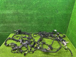 проводка двигателя BMW X5 G05 [рестайлинг] G05 2023, 3.0 л., B58B30P, бензин, АКПП, a96, внедорожник 5 дв., полный привод, 9844375, 5A59433, 5A58C90, 5A2A793, 5A2A789, 5A59433, 5A58C90, 5A2A793, 5A2A789, 9844375