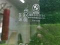 стекло двери задней правой BMW X7 G07 [рестайлинг] G07 2025, 3.0 л., B57 D30 B, дизель, АКПП, 475, внедорожник 5 дв., полный привод, правый руль, 8496030, 51358496030 - фото №7