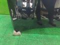 капот BMW X6 G06 2023, 3.0 л., B57 D30 B, дизель, АКПП, 475, внедорожник 5 дв., полный привод, 7492375, 41007492375 - фото №12