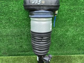 пневмостойка задняя BMW X6 G06 2023, 3.0 л., B57 D30 B, дизель, АКПП, 475, внедорожник 5 дв., полный привод, 6869038, 37106869038