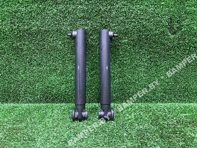 амортизатор крышки багажника (3-5 двери) BMW X5 G05 2021, 3.0 л., i, бензин, АКПП, внедорожник 5 дв., 51247473097 - фото №1
