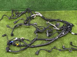 проводка двигателя BMW X7 G07 [рестайлинг] G07 2025, 3.0 л., B57 D30 B, дизель, АКПП, 475, внедорожник 5 дв., полный привод, правый руль, 7380487, 7380487