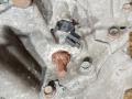 КПП механическая (МКПП) Nissan Almera N16 2003, 1.5 л., QG15DE, бензин, МКПП, хетчбэк 5 дв., M506VB - фото №8