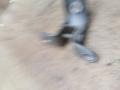 петля двери Toyota Carina E 1 поколение T190 1995, 1.8 л., 7A-FE, бензин, МКПП, универсал, передний привод - фото №3