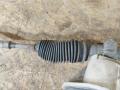 рулевая рейка Renault Kangoo 2 поколение 2013, 1.6 л., K4M 830, бензин, МКПП, минивэн, 7955501009 - фото №7