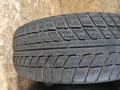 шина  - фото №4