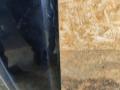дверь передняя правая Peugeot 407 1 поколение 2008, 2.0 л., дизель, МКПП, универсал - фото №10