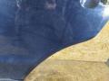 дверь задняя левая Hyundai Santa Fe 2 поколение (CM) 2005, 2.2 л., дизель, АКПП, внедорожник 5 дв. - фото №6