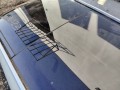 крыша Infiniti QX50 P71A 2019, 2.0 л., бензин, АКПП, белый, внедорожник 5 дв., полный привод - фото №7