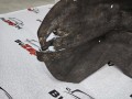 защита арок задняя правая (подкрылок) Nissan Rogue T33 2022, 2.5 л., бензин, АКПП, белый, передний привод - фото №3
