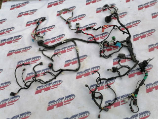 проводка Tesla Model 3 1 поколение [рестайлинг] Highland 2023, электро, АКПП, серый, седан, задний привод