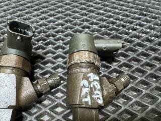 форсунка Opel Insignia 1 поколение (A) [рестайлинг] 2014, 2.0 л., A 20 DTE, дизель, МКПП, седан, 55577668