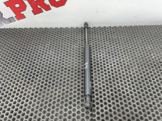 амортизатор капота Land Rover Range Rover 3 поколение 2002, 2.9 л., M 57 D 30, дизель, АКПП, внедорожник 5 дв., BKK760010