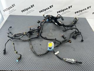 проводка двигателя Peugeot 3008 2 поколение 2018, 1.5 л., дизель, МКПП, передний привод, правый руль