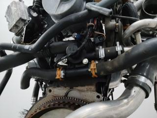 корпус термостата Renault Megane 2 поколение [рестайлинг] 2007, 1.9 л., F9Q 803, дизель, 8200646680