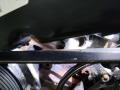 двигатель Audi A6 4F/C6 2007, 2.7 л., BPP, дизель, BPP - фото №4