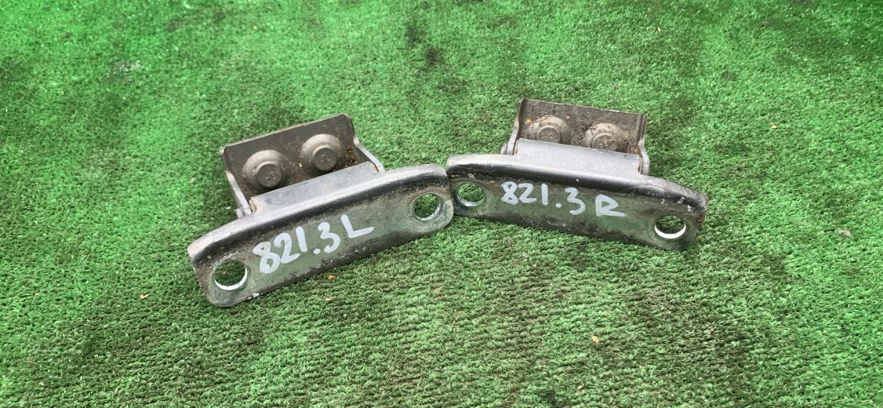 петля крышки багажника Opel Sintra 1 поколение 1997, 2.2 л., X 22 XE, бензин, МКПП, минивэн - фото №1