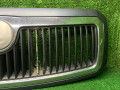 решетка радиатора Skoda Fabia 1 поколение [рестайлинг] 2007, 1.2 л., бензин, МКПП, седан - фото №3