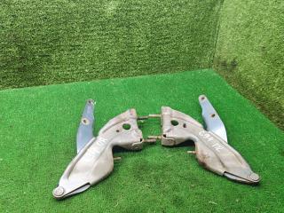 петля капота Fiat Bravo 1 поколение 2000, 1.4 л., бензин, МКПП, хетчбэк 3 дв.