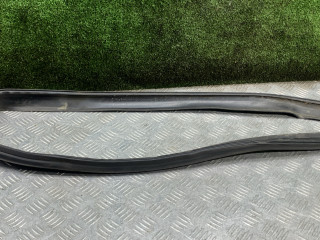 уплотнитель двери Renault Duster 1 поколение [рестайлинг] 2017, 2.0 л., бензин, МКПП, внедорожник 5 дв., полный привод