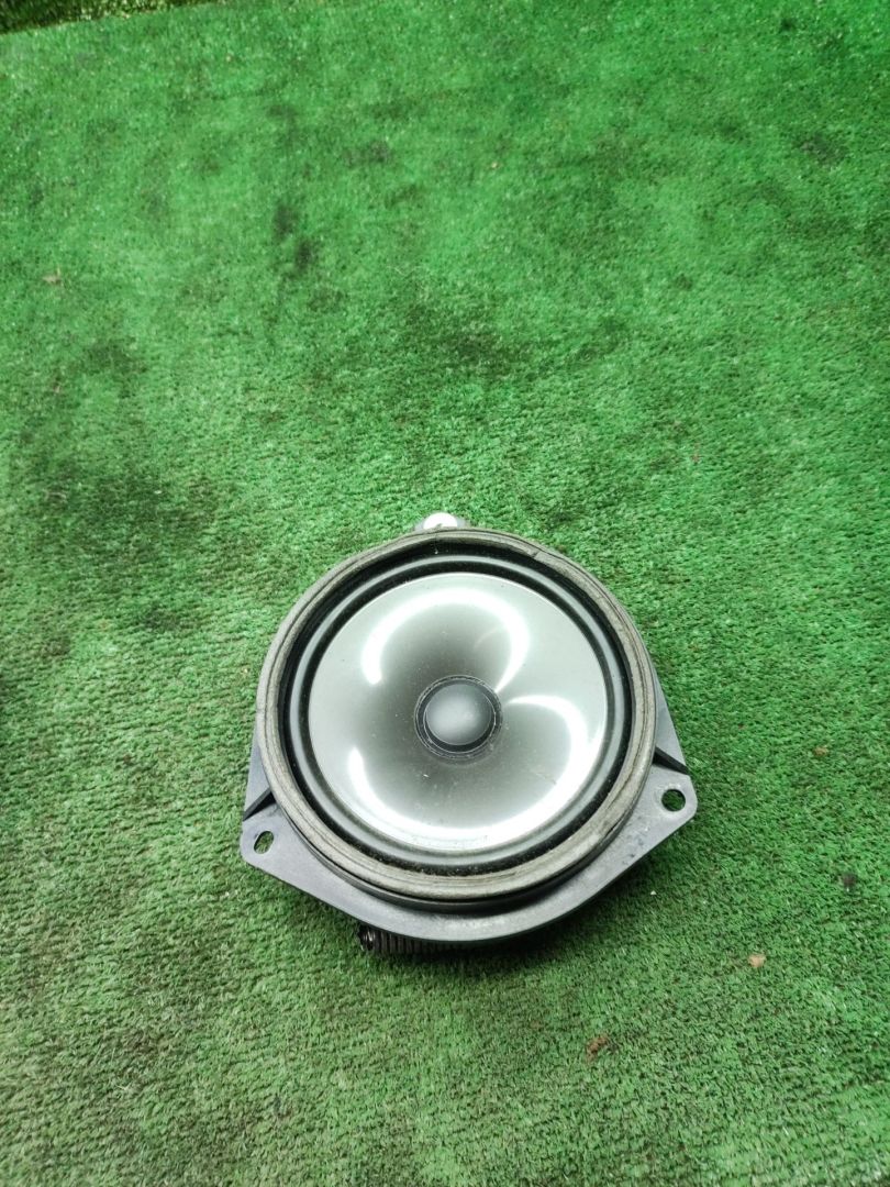 динамик двери Toyota Picnic 1 поколение XM10 2000, 2.0 л., бензин, МКПП, минивэн, 86160-44010 - фото №1