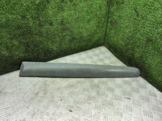 молдинг двери задней правой Renault Scenic 1 поколение 1999, 1.9 л., дизель, МКПП, минивэн