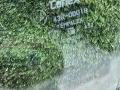 стекло двери передней левой Mazda Premacy 1 поколение 2000, 2.0 л., дизель, МКПП, минивэн - фото №2